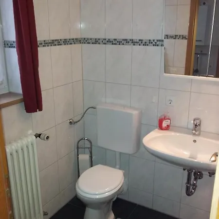 Haus Schweizer بيت ضيافة Füssen
